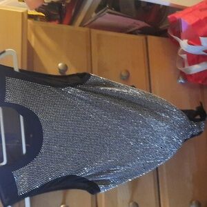 2 For $15 Zara Silver and Black Mesh Bodysuit